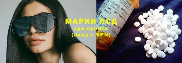 ГАЛЛЮЦИНОГЕННЫЕ ГРИБЫ Абаза