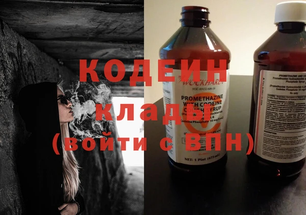 ГАЛЛЮЦИНОГЕННЫЕ ГРИБЫ Абаза