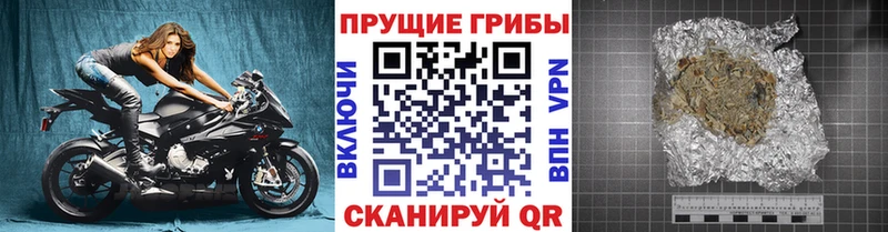 купить закладку  Димитровград  Галлюциногенные грибы мицелий 