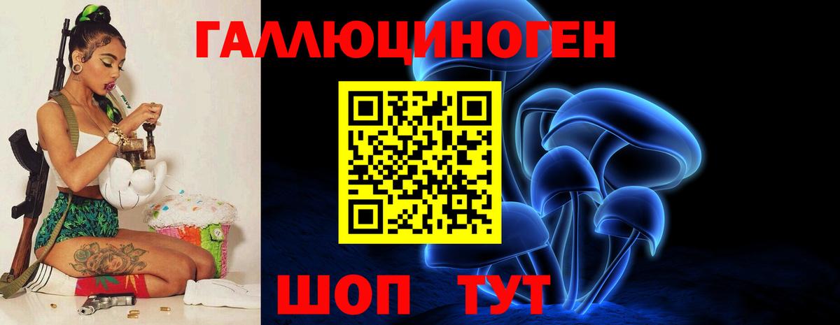 Димитровград  Галлюциногенные грибы прущие грибы  Вход с VPN 