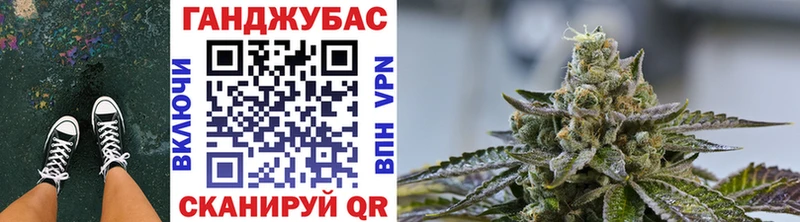 Марихуана семена OMG ТОР Димитровград как найти закладки